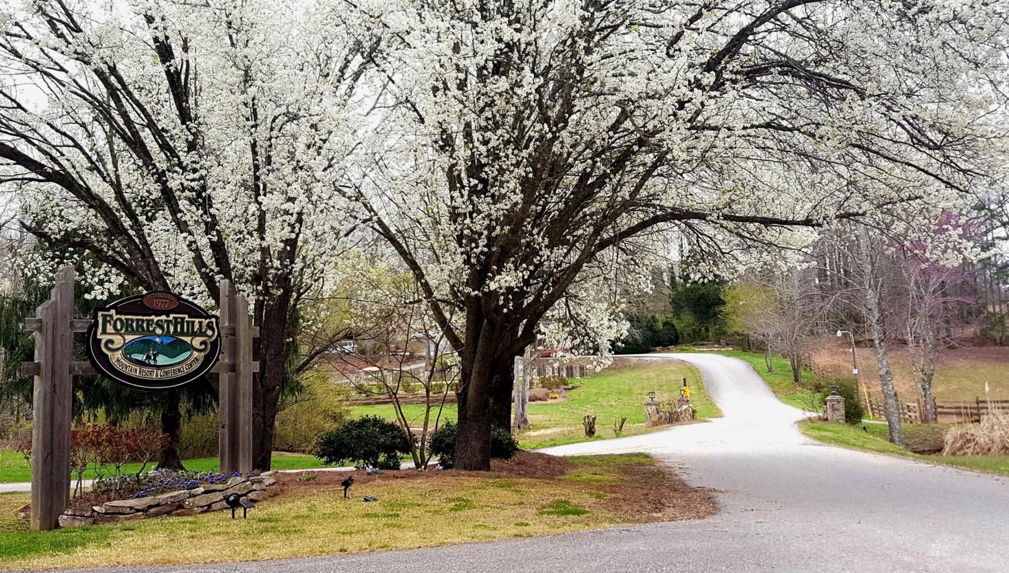 Forrest Hills Mountain Resort Dahlonega Bagian luar foto