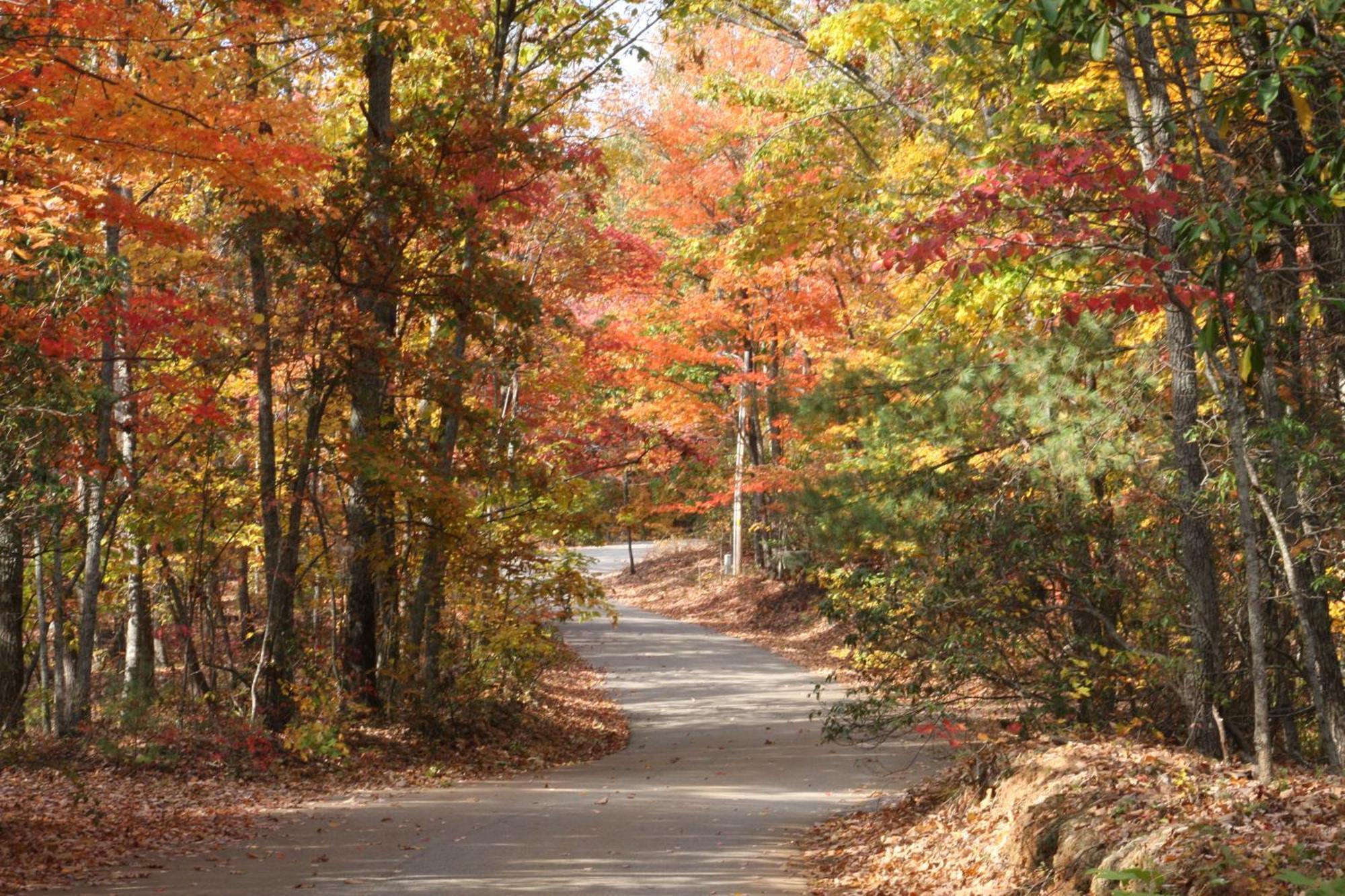 Forrest Hills Mountain Resort Dahlonega Bagian luar foto