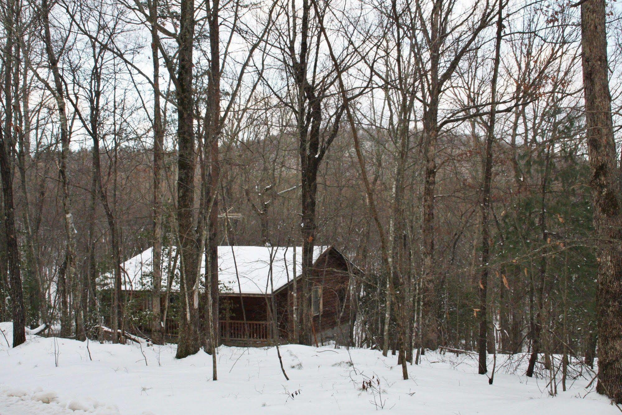 Forrest Hills Mountain Resort Dahlonega Bagian luar foto