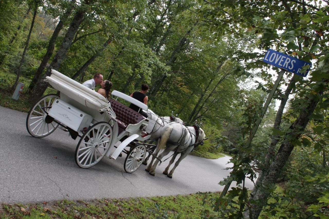 Forrest Hills Mountain Resort Dahlonega Bagian luar foto